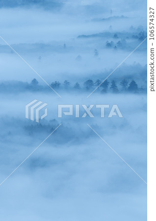 霧中的森林 霧中的森林 106574327