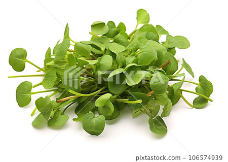 Watercress photo realistic illustration - Generative AI. 106574939