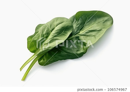 Spinach photo realistic illustration - Generative AI. 106574967