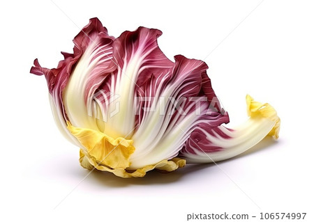 Radicchio photo realistic illustration - Generative AI. Radicchio photo realistic illustration - Generative AI. 106574997