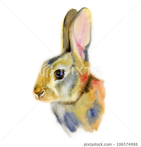 Isolated realistic watercolor rabbit on white background Isolated realistic watercolor rabbit on white background 106574998