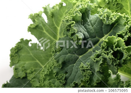 Kale photo realistic illustration - Generative AI. 106575095