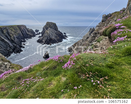 The sea cliffs and stacks at Malin Head. the Northern most point in Ireland 106575162