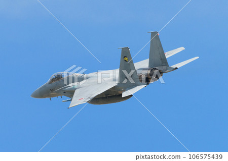 航空自衛隊第306中隊F-15J鷹式轉彎 106575439