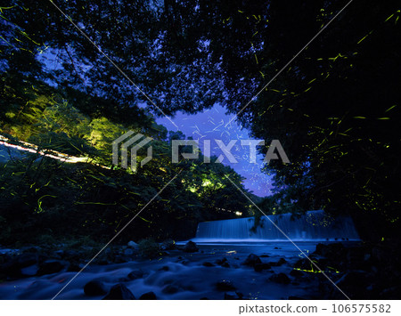 Fireflies flying in the mountain stream Fireflies flying in the mountain stream 106575582