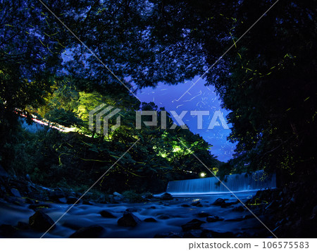 Fireflies flying in the mountain stream Fireflies flying in the mountain stream 106575583