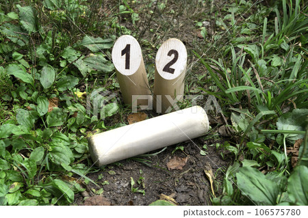 Mölkky，一項誕生於芬蘭的運動 106575780