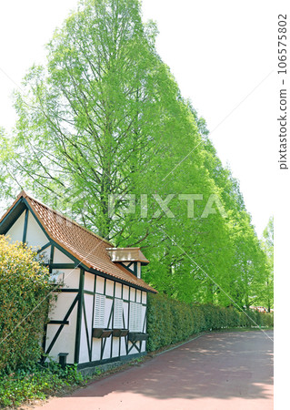 The fresh green of Kyushu Natural Zoological Park 106575802