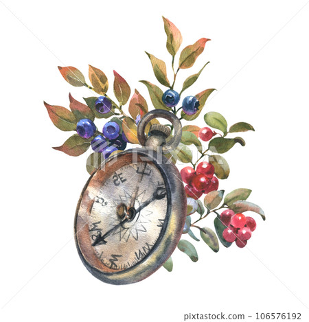 Hand drawn watercolor illustration vintage compass with forest berries on white isolated background. Drawing of travel element Hand drawn watercolor illustration vintage compass with forest berries on white isolated background. Drawing of travel element 106576192