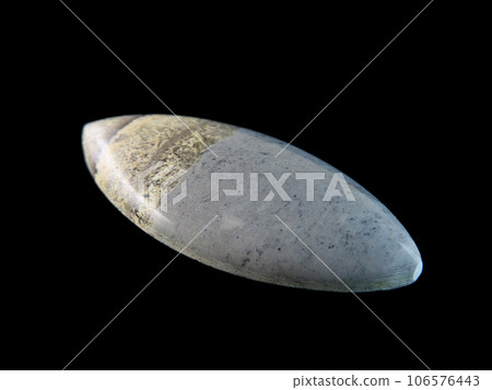 樹枝狀碧玉 - 蘊含風景的石頭 106576443