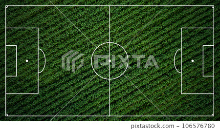 Football field concept 106576780