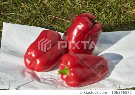 Three large red bell peppers on green grass on a white litter Three large red bell peppers on green grass on a white litter 106576873