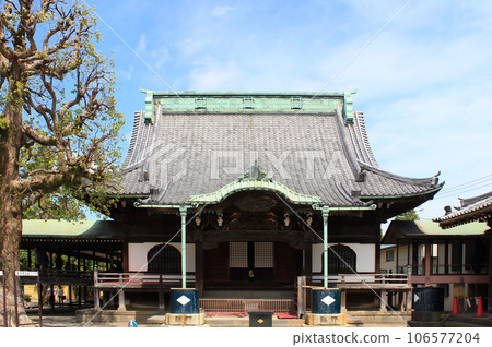 Shibamata Takumi Shibamata Takumi 106577204