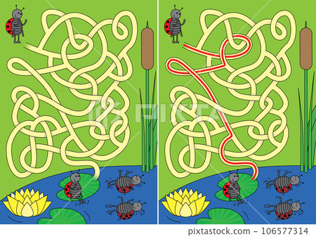 Ladybug maze 106577314