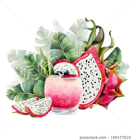 Dragon fruits, summer pink cocktail lemonade with pitaya slices and green palm leaves watercolor illustration isolated on white background. Fresh tropical exotic drink clipart 106577628