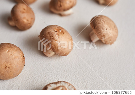 Champignon mushrooms Champignon mushrooms 106577695