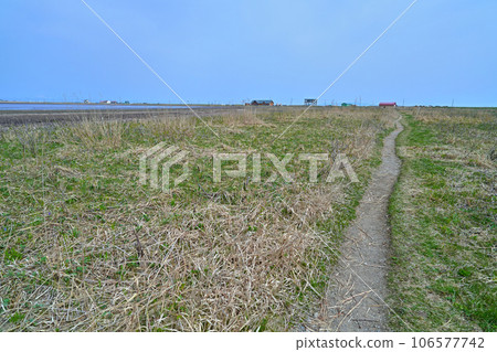 Notsuke Peninsula Todowara Promenade 106577742