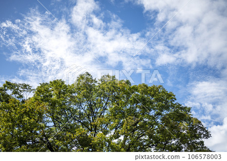 清爽的秋季天空森林山風景圖像 106578003