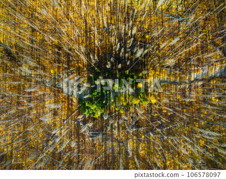 Drone view of a dead and dry forest. View from a drone. Landscape from the air on an autumn forest. Drone view of a dead and dry forest. View from a drone. Landscape from the air on an autumn forest. 106578097
