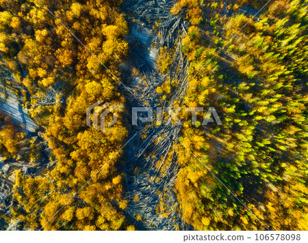 Drone view of a dead and young autumn forest. Landscape from the air on an fall forest. Drone view of a dead and young autumn forest. Landscape from the air on an fall forest. 106578098