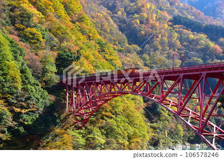 秋天的黑部峽谷鐵道新山彥大橋 秋天的黑部峽谷鐵道新山彥大橋 106578246