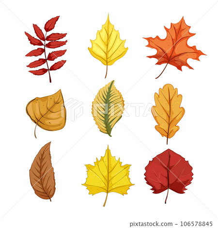 autumn leaf set cartoon vector illustration autumn leaf set cartoon vector illustration 106578845