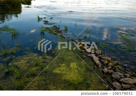 Shore of lake with stones and algae. 106579031
