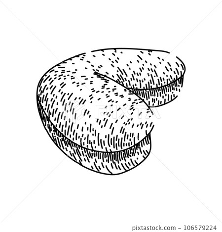 brown cashew nut sketch hand drawn vector 106579224