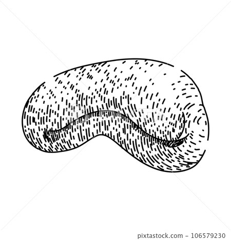 roasted cashew nut sketch hand drawn vector 106579230