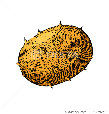 horned kiwano sketch hand drawn vector horned kiwano sketch hand drawn vector 106579245