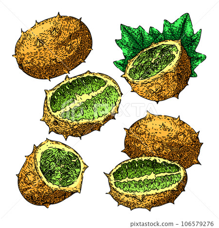 kiwano set sketch hand drawn vector 106579276