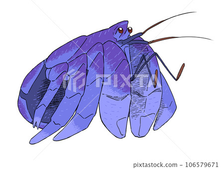 簡單的椰子蟹插圖 106579671