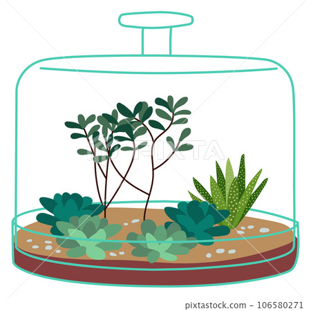 Indoor plant in glass terrarium. Hygge home decoration Indoor plant in glass terrarium. Hygge home decoration 106580271