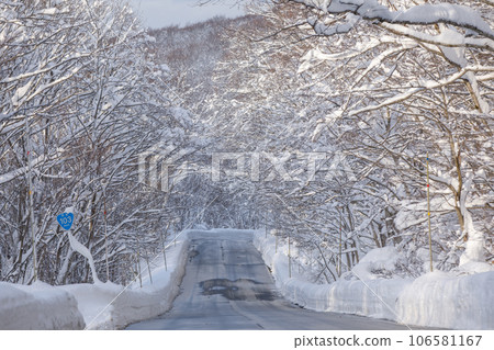 Hakkoda road scenery in winter (Aomori City, Aomori Prefecture) 106581167
