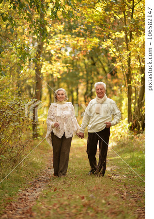 Elderly couple dance in the park in autumn. 106582147