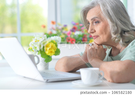 senior nice woman using laptop at home 106582180