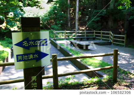 大分縣由布市黑岳原始森林森林散步路線 大分縣由布市黑岳原始森林森林散步路線 106582306