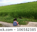夏天，一個孩子獨自在日本的稻田裡 106582385