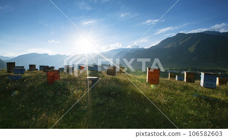 Wooden beehives against the backdrop of a mountain landscape. Wooden beehives against the backdrop of a mountain landscape. 106582603