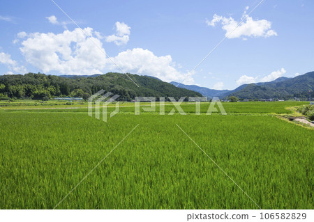Summer countryside scenery Tottori Prefecture Gunge Town 106582829