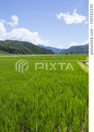 Summer countryside scenery Tottori Prefecture Gunge Town 106582830