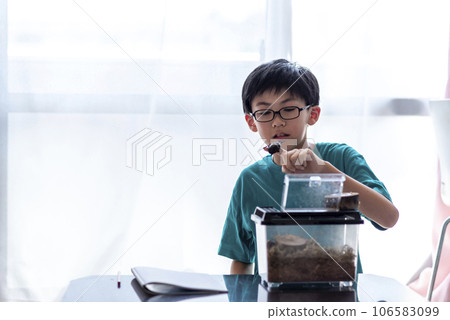 Elementary school boy observing insects Elementary school boy observing insects 106583099