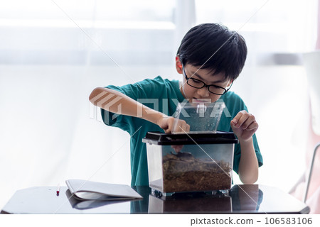 Elementary school boy observing insects Elementary school boy observing insects 106583106