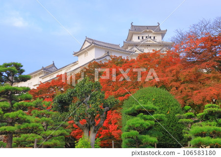 姬路城的紅葉(兵庫縣姬路市) 姬路城的紅葉(兵庫縣姬路市) 106583180