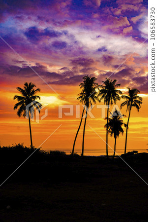 The silhouette of a row of coconut trees on Bakongan Beach, Tapaktuan, Aceh during sunset, with the sky blending from orange to red and magenta, is a truly beautiful moment. The silhouette of a row of coconut trees on Bakongan Beach, Tapaktuan, Aceh during sunset, with the sky blending from orange to red and magenta, is a truly beautiful moment. 106583730