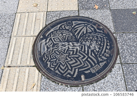 Manhole cover in Wakayama City, Wakayama Prefecture 106583746