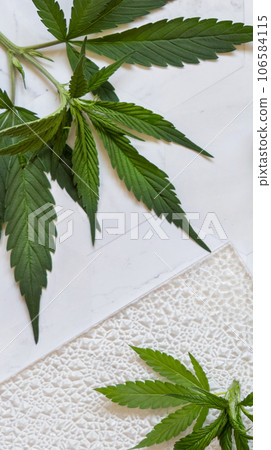 Green cannabis leaves top view on marble. Alternative medicine Green cannabis leaves top view on marble. Alternative medicine 106584115