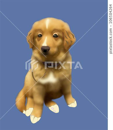 graphic portrait of a little labrador puppy graphic portrait of a little labrador puppy 106584264