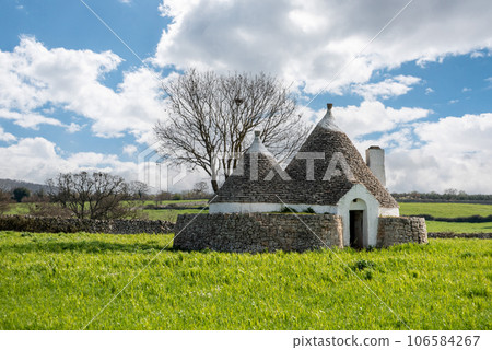 Scenic Trullo dwelling in the rural landscape near Alberobello, Italy Scenic Trullo dwelling in the rural landscape near Alberobello, Italy 106584267