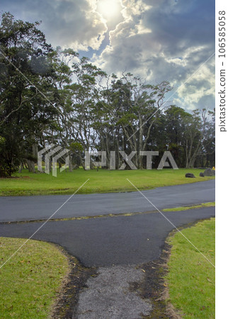 Kilauea Crater in Hawaii Volcanoes National Park 106585058